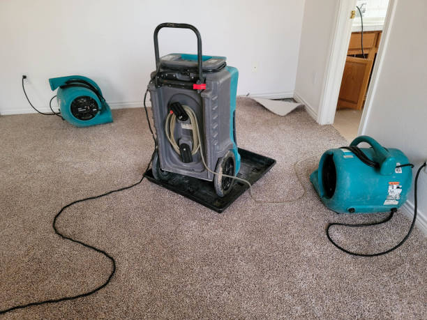 Best Residential water damage restoration  in Eagle Lake, WI