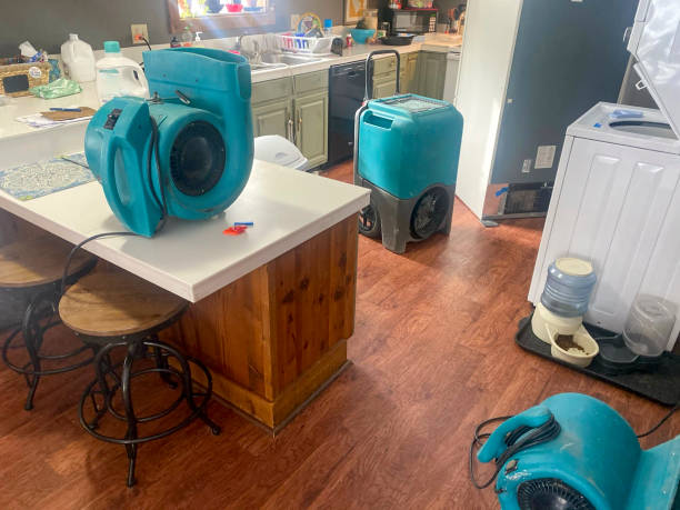 Best Water damage cleanup near me  in Eagle Lake, WI