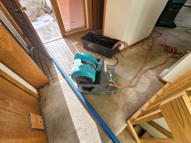 Best Water damage restoration near me  in Eagle Lake, WI