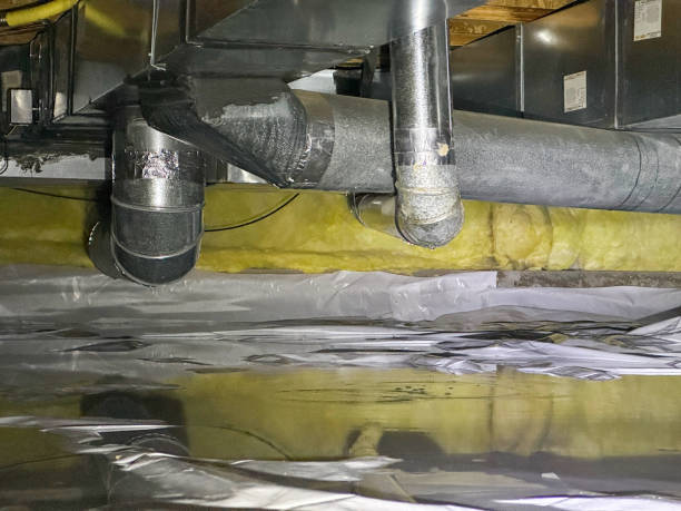 Best Carpet water damage restoration  in Eagle Lake, WI