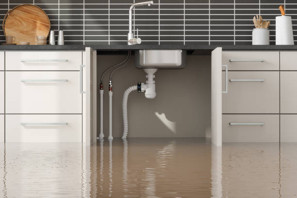 Best Water damage cleanup near me  in Eagle Lake, WI